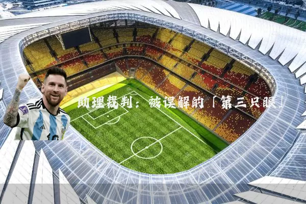 助理裁判：被误解的「第三只眼」